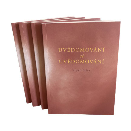 Uvědomování si Uvědomování